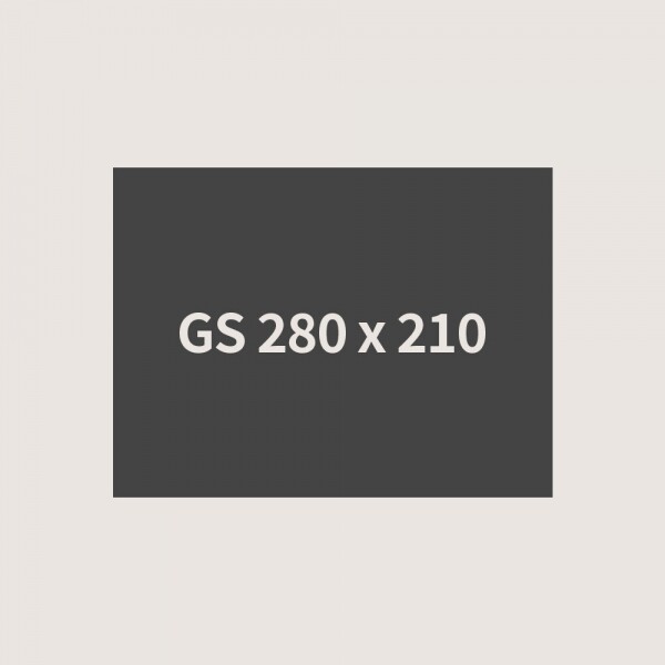 GS-2821